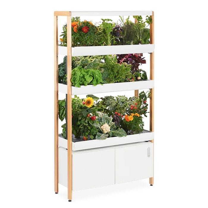 Seed Storage Box Organizer, Gardening, Hydroponics