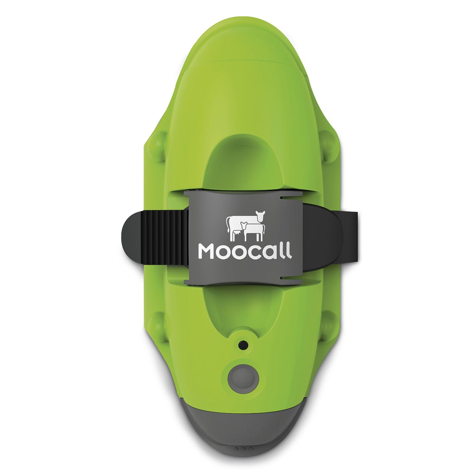 Moocall Calving Sensor